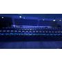 Double Blades Extra Beam Strobe Bar 5X60w RGBW LED Pixel Control Moving Head Wash Light With Zoom Effect