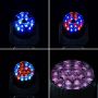 Spider 19 Pieces RGBW LED Bee Eye Zoom Moving Head Wash Light Stage Light