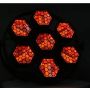 Mini P1 Retro Stager 17x50W RGB Audience Background Blinder Strobe Stage Light